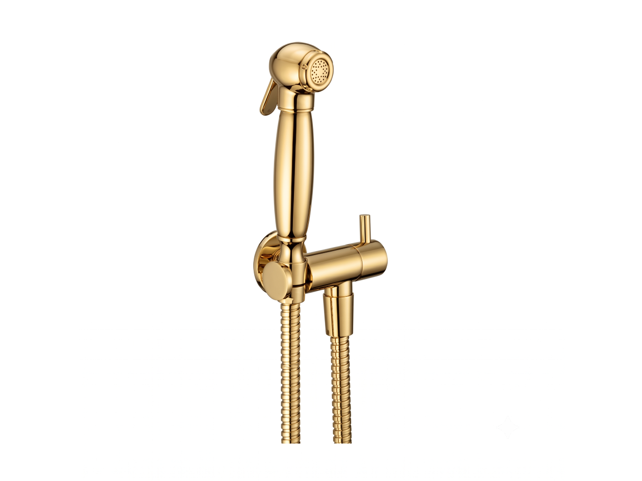 Bidet handshower set HYGENIC SHOWERS_AR007900 -1