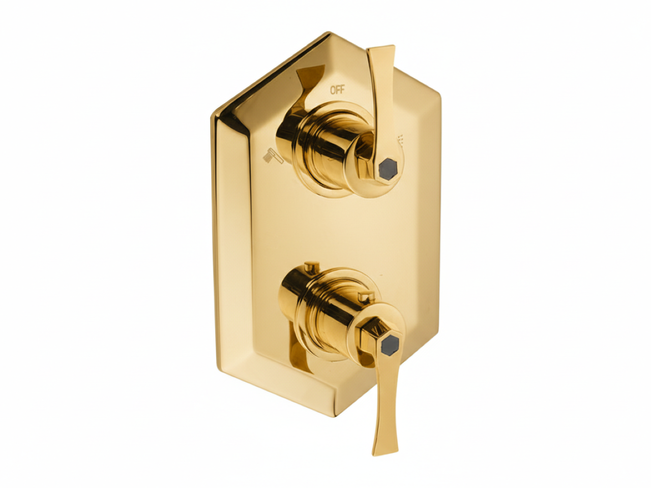 Exposed part for con.thermo.shower mixer, 2-outlet CHERIE_CF019100 -1