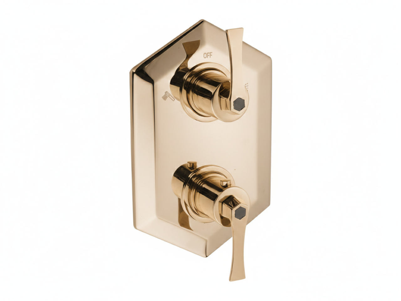 Exposed part for con.thermo.shower mixer, 2-outlet CHERIE_CF019100 -1