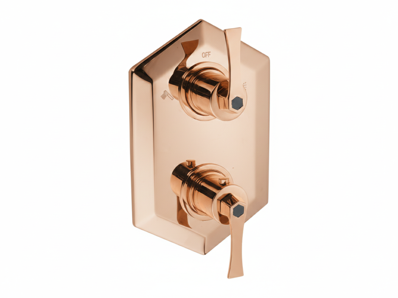 Exposed part for con.thermo.shower mixer, 2-outlet CHERIE_CF019100 -1