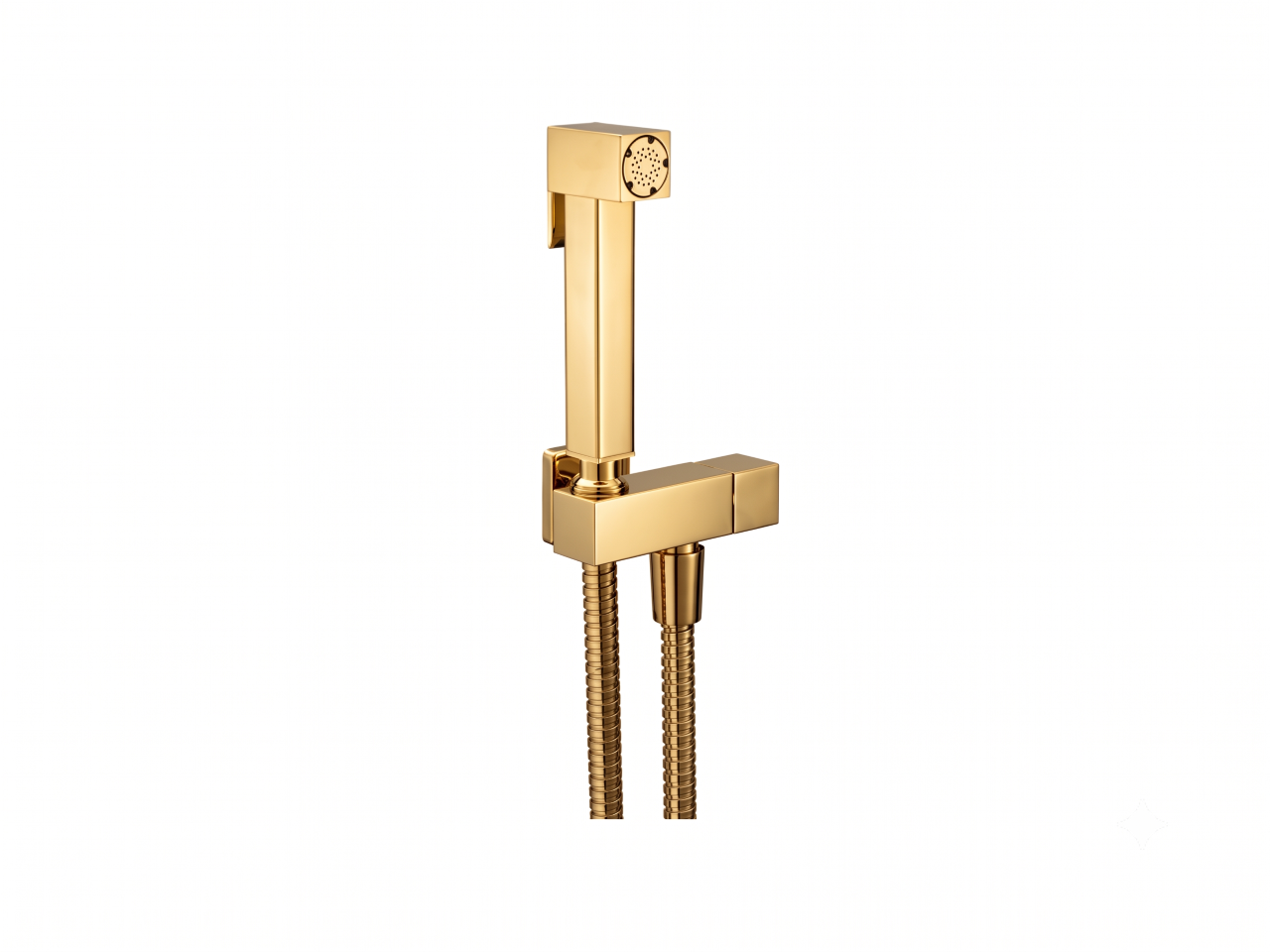 Bidet handshower set HYGENIC SHOWERS_CU007900 -1