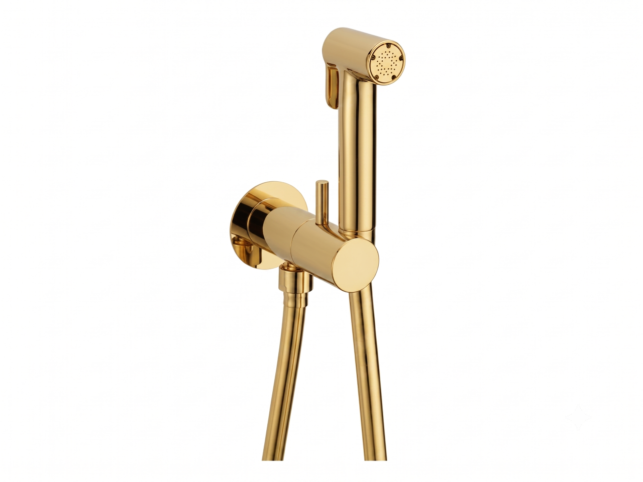 Bidet handshower set HYGENIC SHOWERS_CV007975 -1