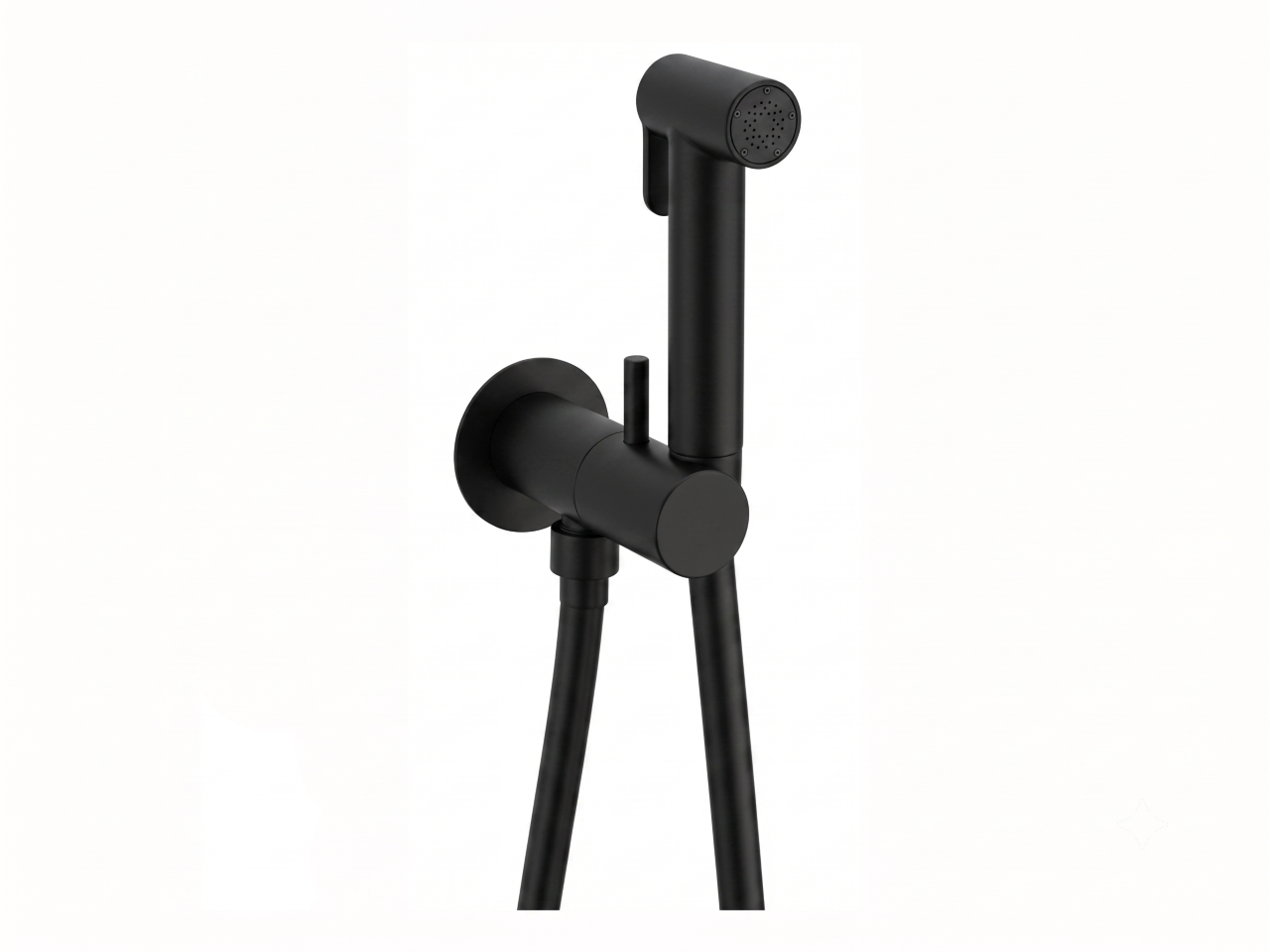Bidet handshower set HYGENIC SHOWERS_CV007975 -1