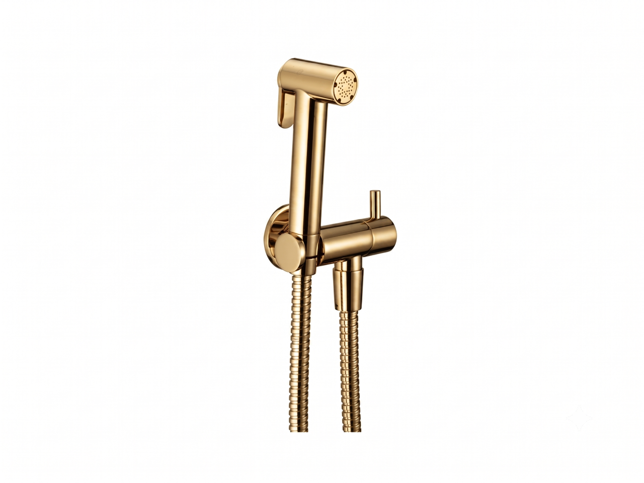 Bidet handshower set HYGENIC SHOWERS_CY007900 -1