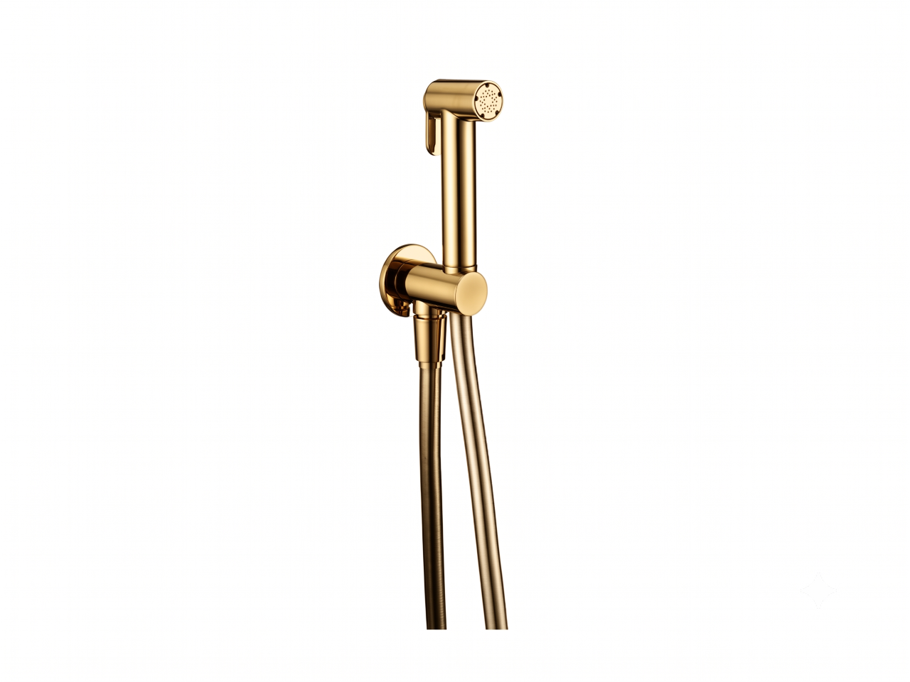 Bidet handshower set HYGENIC SHOWERS_CY007910 -1