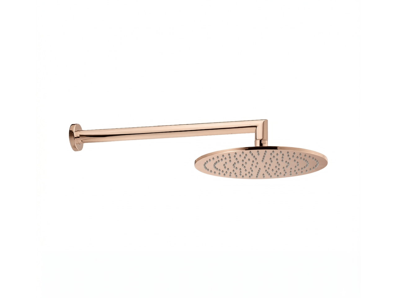 Shower arm with showerhead WELLNESS_DS013620 -1