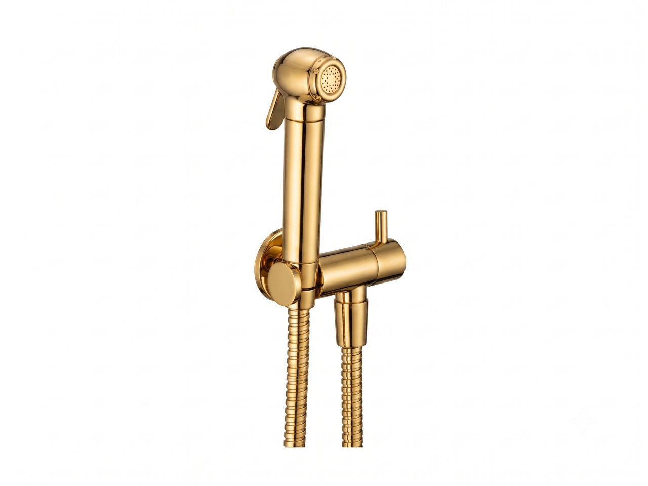Bidet handshower set HYGENIC SHOWERS_SC007900 -1